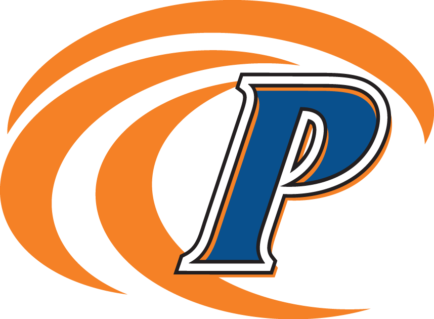 Pepperdine Waves 2004-2010 Secondary Logo diy fabric transfer